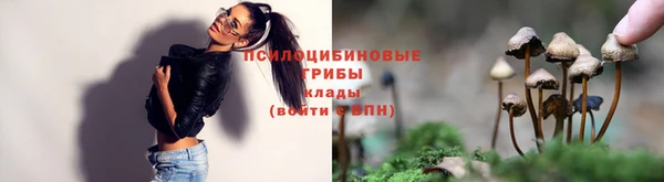 мет Верхний Тагил