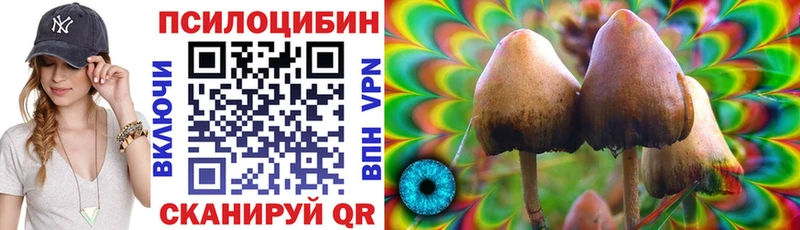 Псилоцибиновые грибы GOLDEN TEACHER  Тверь 